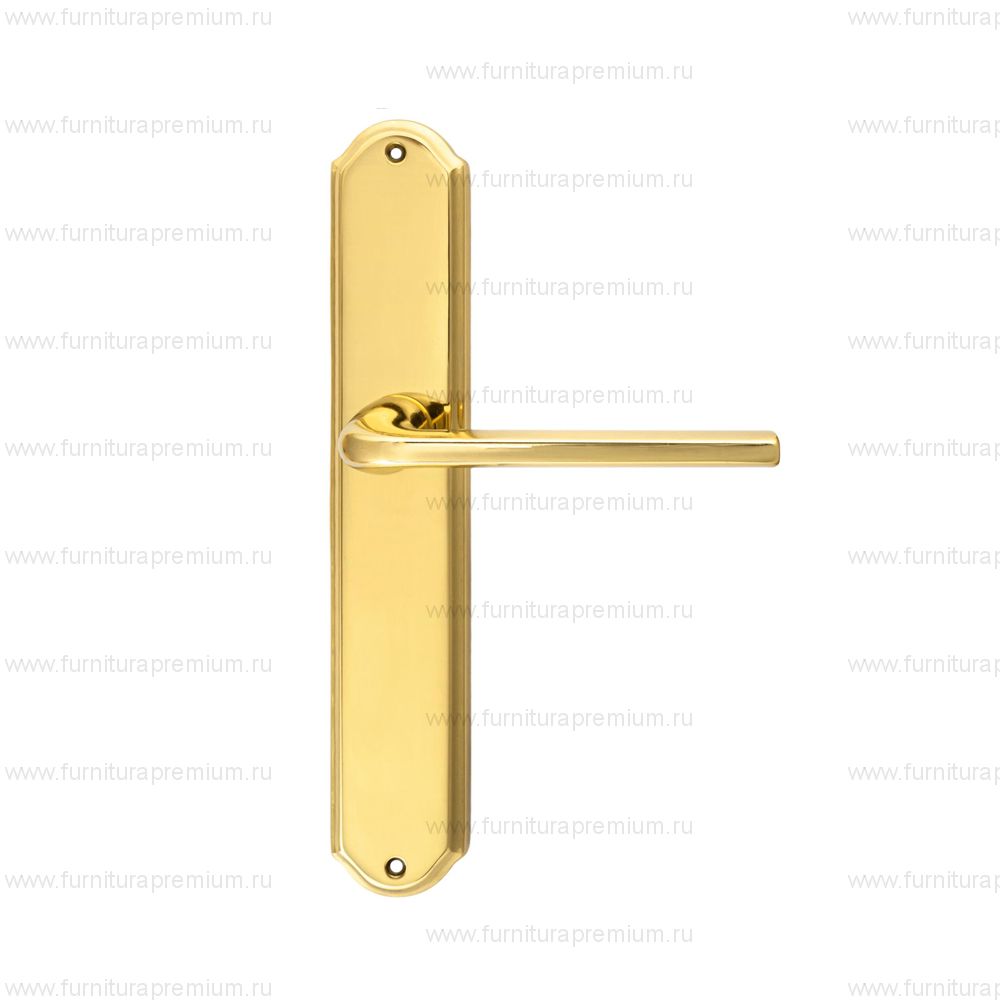 Ручка на планке Extreza Terni 320 PASS PL01