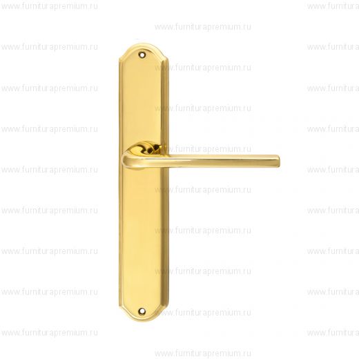 Ручка на планке Extreza Terni 320 PASS PL01