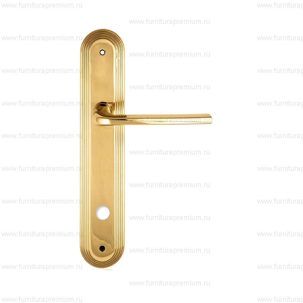 Ручка на планке Extreza Terni 320 WC PL05