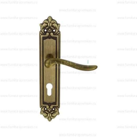 Ручка на планке Extreza Toledo 323 CYL PL02