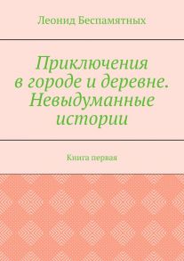 Приключения в городе и деревне. Невыдуманные истории. Книга первая