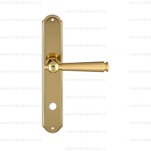 Ручка на планке Extreza Annet 329 WC PL01