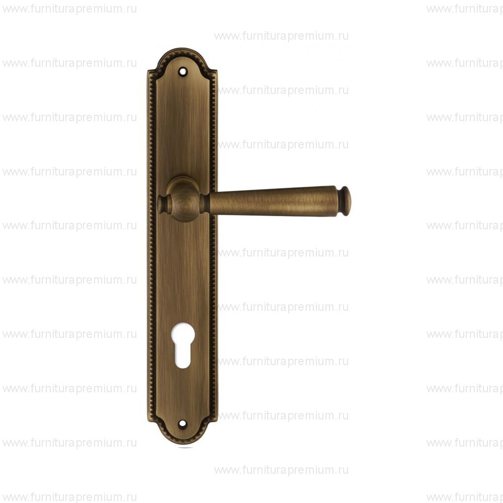 Ручка на планке Extreza Annet 329 CYL PL03