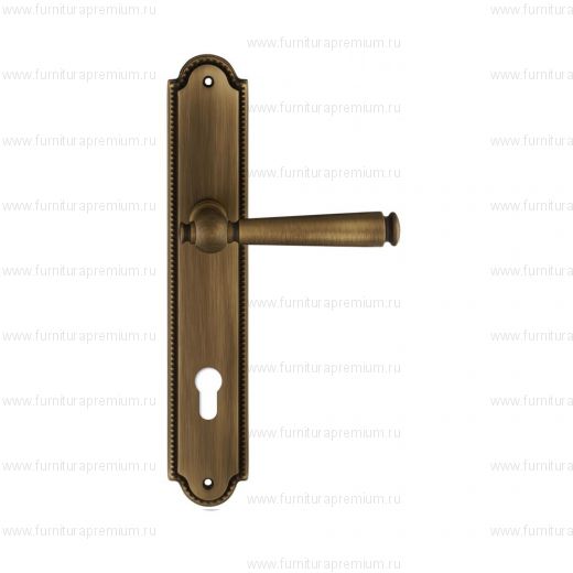 Ручка на планке Extreza Annet 329 CYL PL03