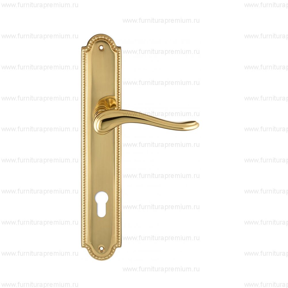 Ручка на планке Extreza Ariana 333 CYL PL03