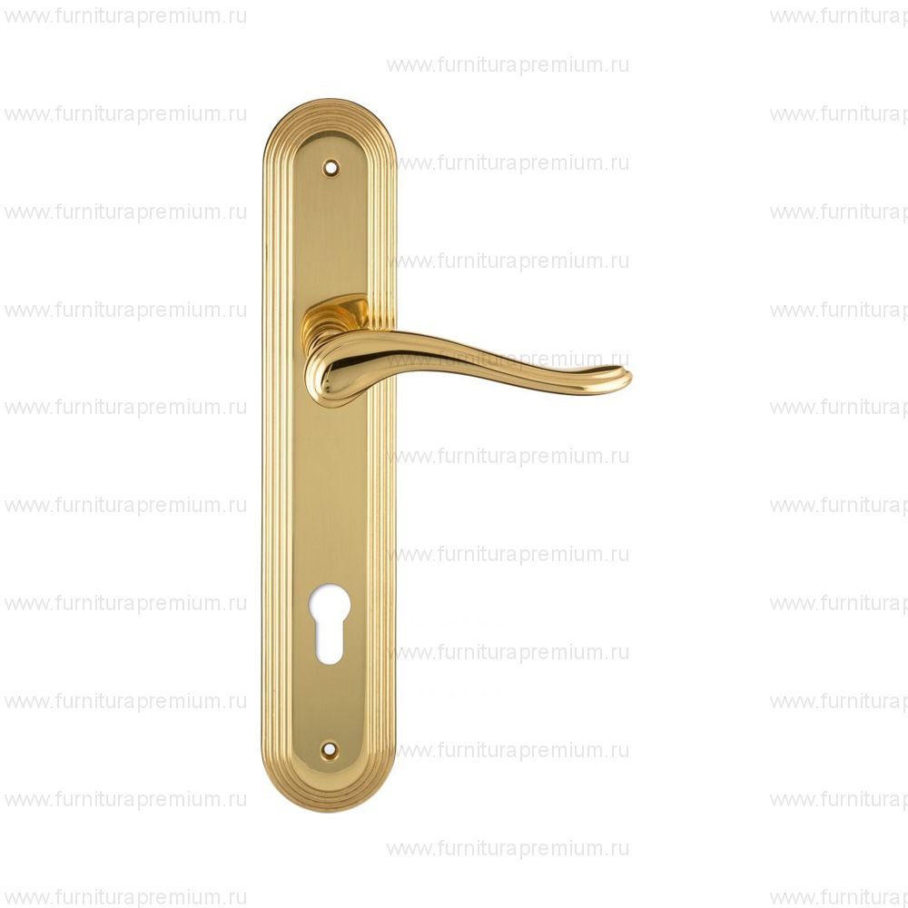 Ручка на планке Extreza Ariana 333 CYL PL05