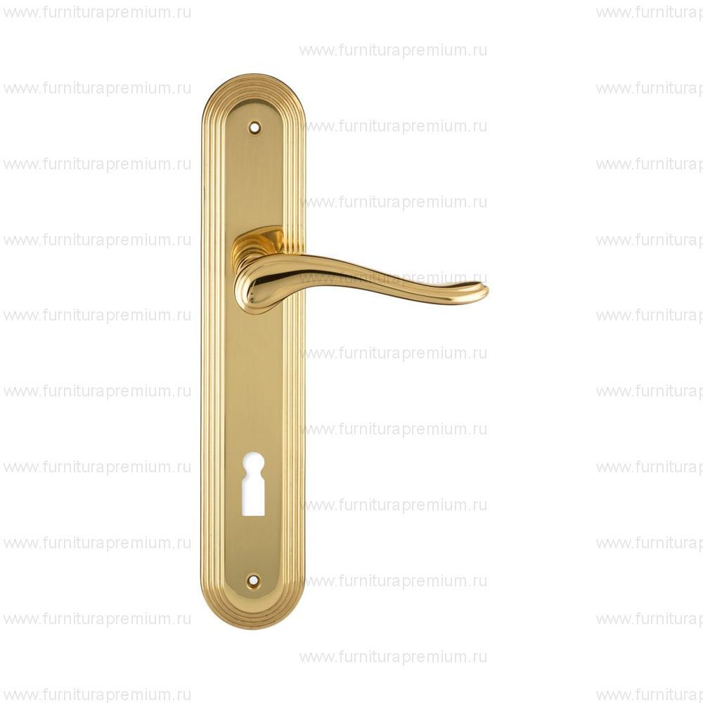 Ручка на планке Extreza Ariana 333 KEY PL05