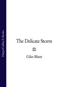 The Delicate Storm