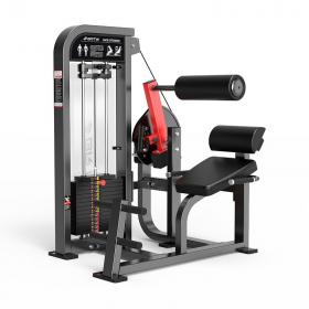 Разгибание спины Insight Fitness HS21