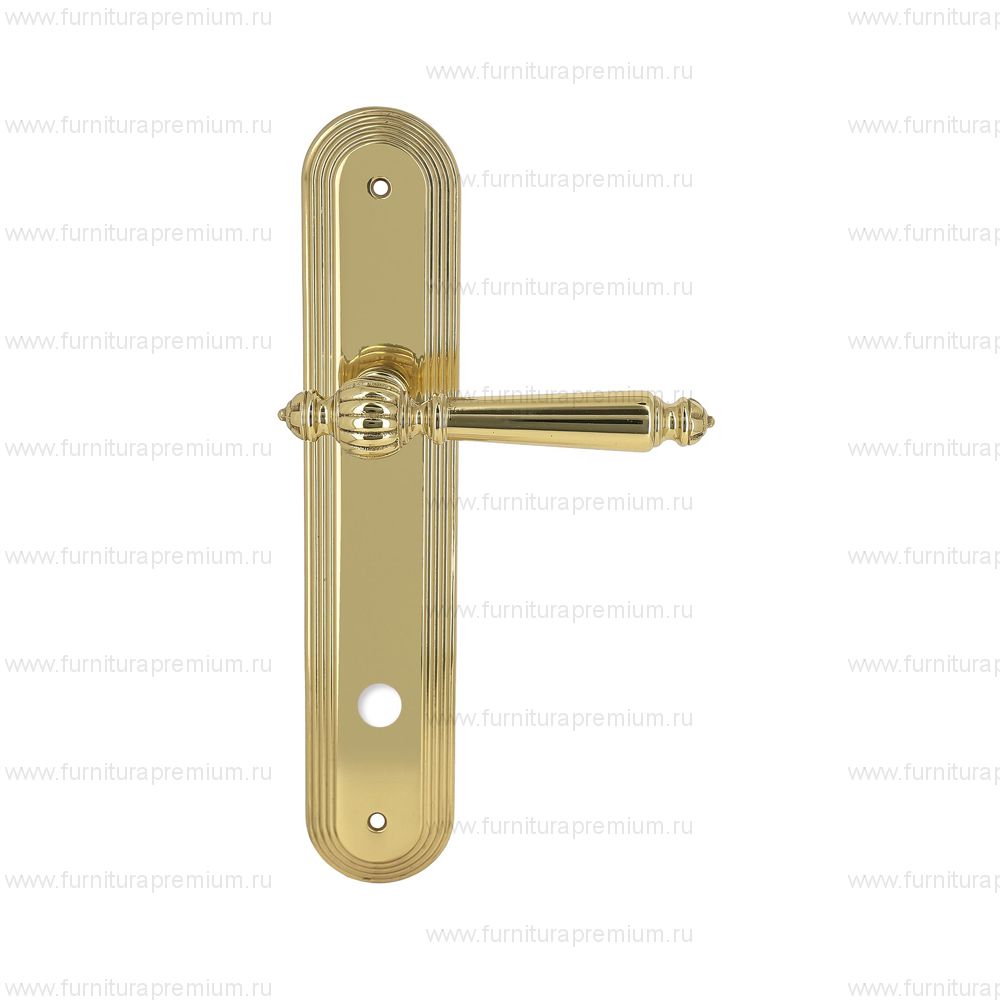 Ручка на планке Extreza Daniel 308 WC PL05