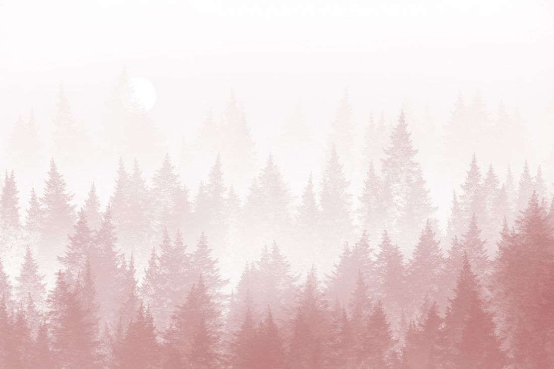 POWDERY FOREST q