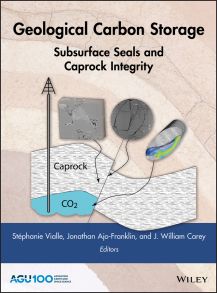 Geological Carbon Storage. Subsurface Seals and Caprock Integrity