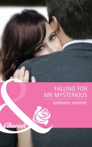 Falling for Mr. Mysterious