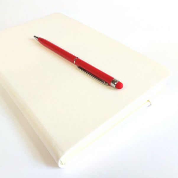Красные ручки со стилусом TouchWriter