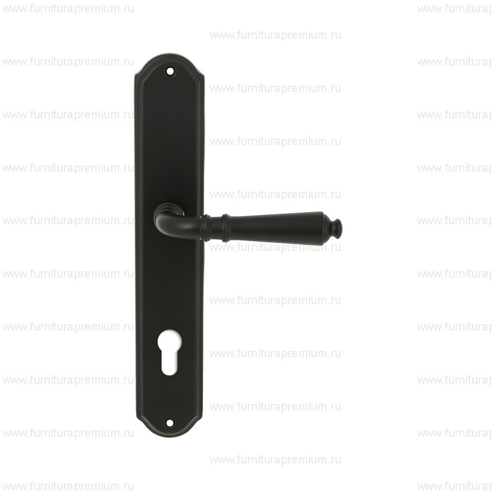 Ручка на планке Extreza Petra 304 CYL PL01