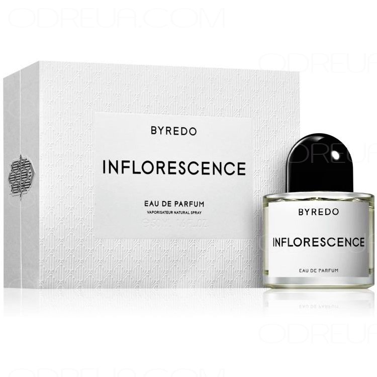 Byredo  Inflorescence