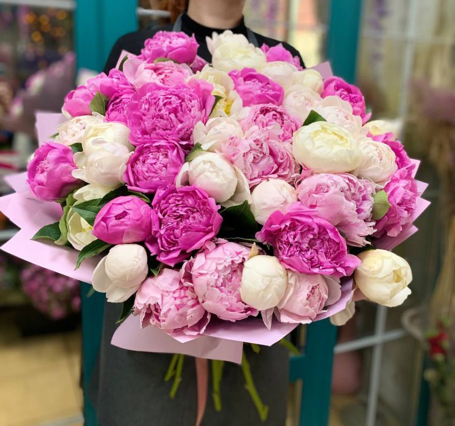 Пионы в упаковке (от 7 шт)