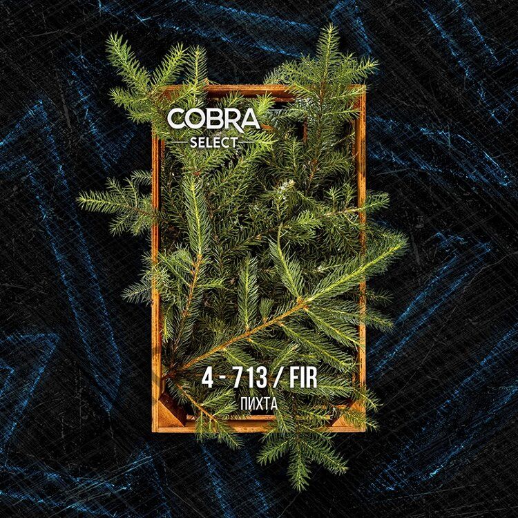 Cobra Select 40 гр - Fir (Пихта)