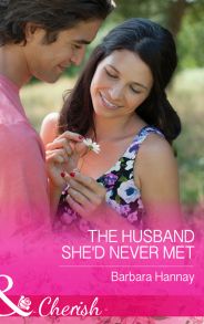 The Husband She'd Never Met