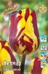 Tyulpan-Helmar-11-12-1-sht
