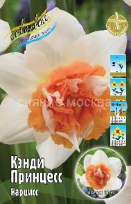 Нарцисс Кенди Принцесс махровый,  12/14 , 1 шт