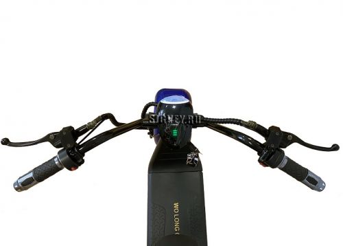 Электросамокат Wolong C2 PRO 20AH Зеленый (2021)