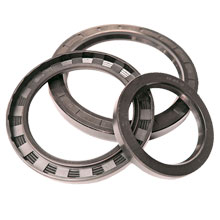 Сальник (манжета армированная) 2-10х17х5