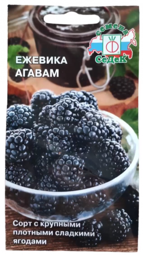 Семена Ежевика Агавам (СеДек)