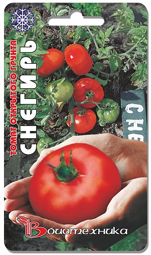 Семена Биотехника Томат Снегирь