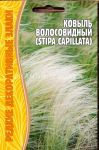 Kovyl-Volosovidnyj-Stipa-capillata-20-sht-Red-Sem