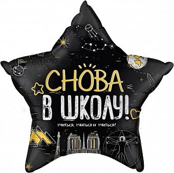 Звезда "Снова в школу"