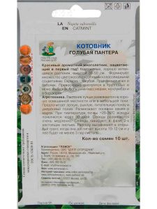 Семена Котовник Голубая пантера