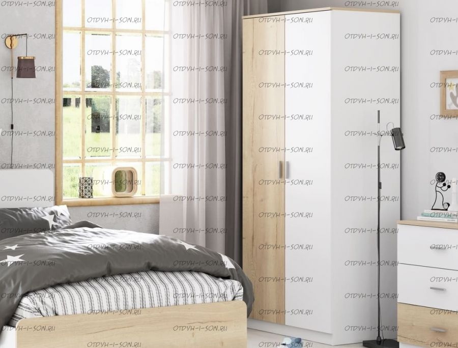 Шкаф двухдверный Дельта-Лофт 13.02 (91х53х202)