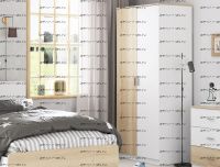 Шкаф двухдверный Дельта-Лофт 13.02 (91х53х202)