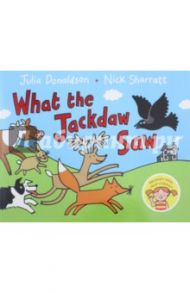 What the Jackdaw Saw / Donaldson Julia