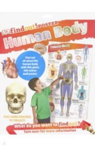 DKfindout! Human Body Poster