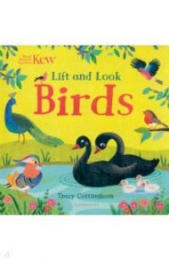 Kew. Lift and Look Birds / Cottingham Tracy