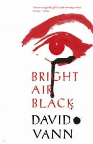 Bright Air Black / Vann David