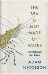 The Sea is Not Made of Water. Life Between the Tides / Nicolson Adam