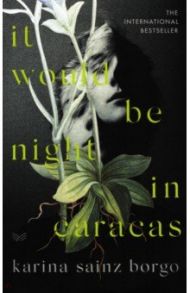 It Would Be Night in Caracas / Sainz Borgo Karina