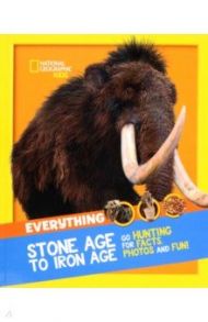 Stone Age to Iron Age / Wilkinson Alf