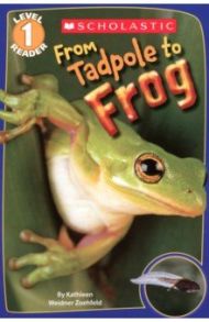 From Tadpole to Frog. Level 1 / Weidner Zoehfeld Kathleen