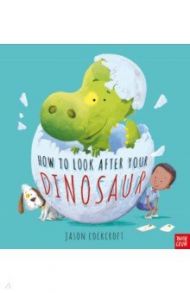 How To Look After Your Dinosaur / Cockcroft Jason