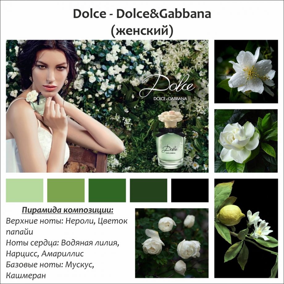 ~Dolce (w) ~