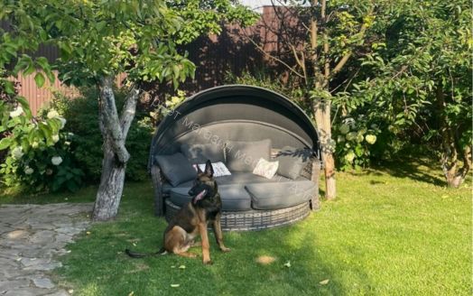 Диван-трансформер Violetta (шезлонг-трансформер) с подушками ротанг искусственный, Серый