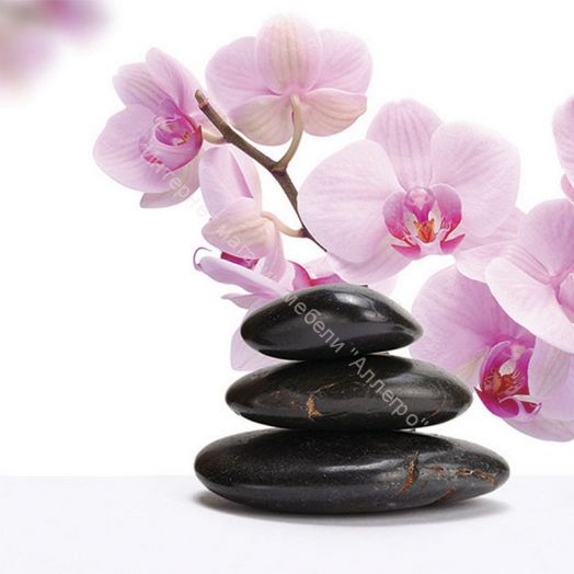 Стеновая панель SP 131 2800 мм