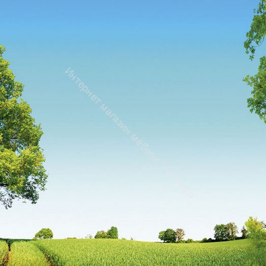 Стеновая панель SP 212 2800 мм