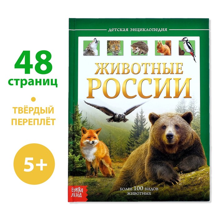 Детская энциклопедия в твёрдом переплёте «Животные России», 48 стр.