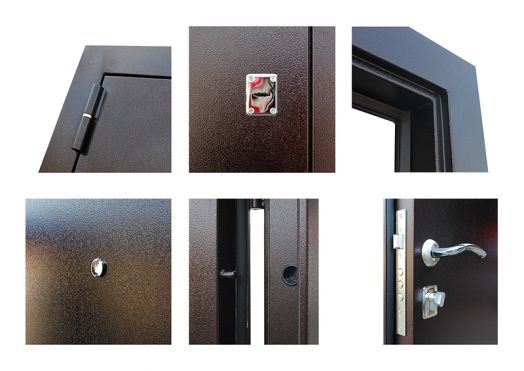 Дверь Входная АСД Амазон