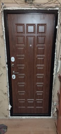 Дверь Входная АСД Спартак орех темный